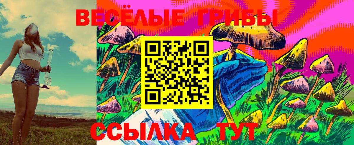 Галлюциногенные грибы Magic Shrooms Нефтекумск